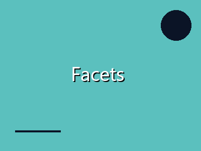 Facets 4.50 多面Rasch测量软件