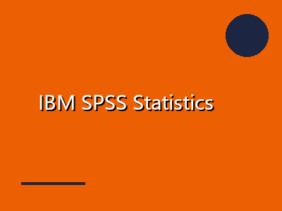IBM SPSS Statistics 31 -统计分析软件 