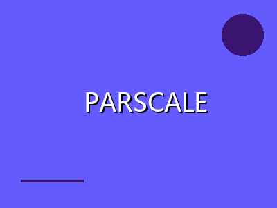 PARSCALE 4 IRT软件