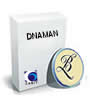 DNAMAN 10 Ϣѧ DNAз