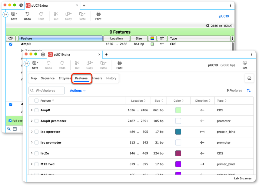 SnapGene 8.0 特征视图截图