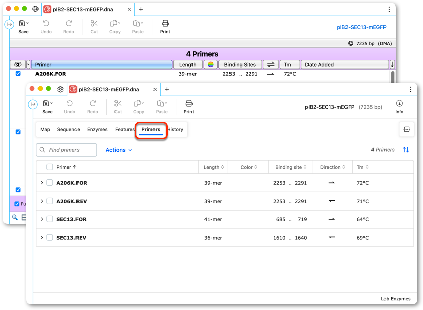 SnapGene 8.0 引物视图截图