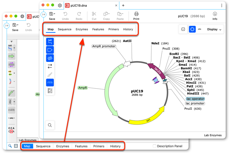 SnapGene 7.2 与 8.0 视图对比概览