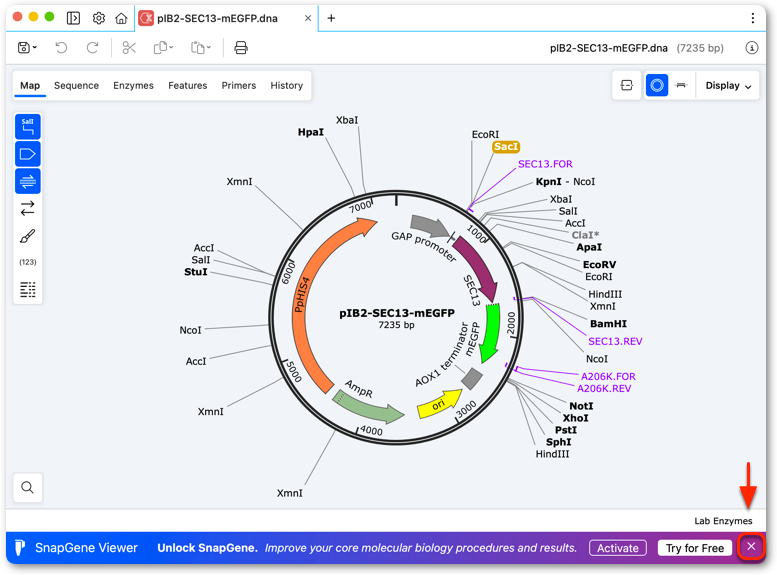 SnapGene Viewer 模式底部横幅截图